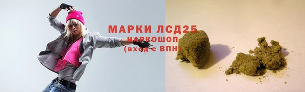кокс Аркадак