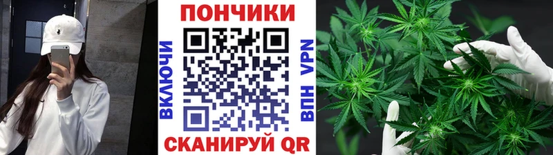hydra tor  продажа наркотиков  Сковородино  Шишки марихуана White Widow 